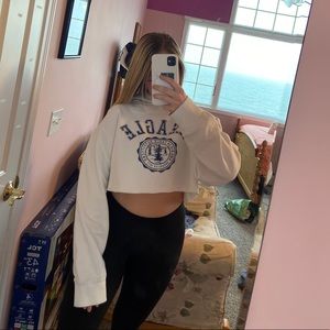 American Eagle Cropped Hoodie